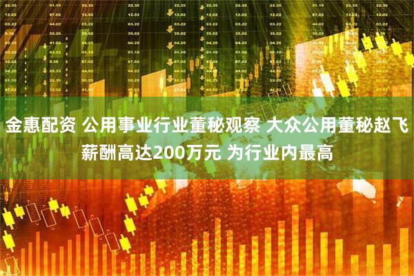 金惠配资 公用事业行业董秘观察 大众公用董秘赵飞薪酬高达200万元 为行业内最高