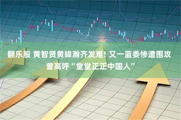 翻乐股 黄智贤黄暐瀚齐发难! 又一蓝委惨遭围攻 曾高呼“堂堂正正中国人”