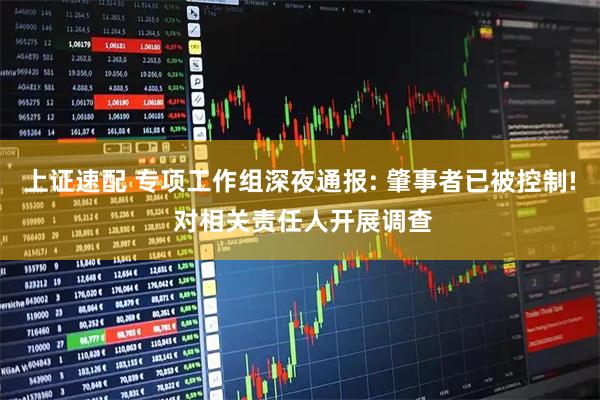 上证速配 专项工作组深夜通报: 肇事者已被控制! 对相关责任人开展调查